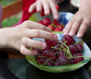 поставщик продуктов ГОСТ фрукты для детского лагеря, овощи для детского лагеря, доставка продуктов в детский лагерь, поставщик в детский лагерь